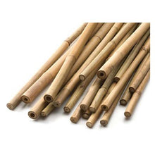 Load image into Gallery viewer, Bamboo Stake 5ft (pack of 20) Natural
