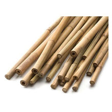 Load image into Gallery viewer, Bamboo Stake 5ft (pack of 20) Natural