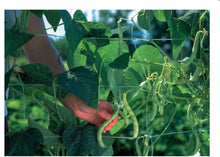 Load image into Gallery viewer, Treillis 6.5’ x 8’