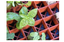 Load image into Gallery viewer, Grodan Grow Smart Tray