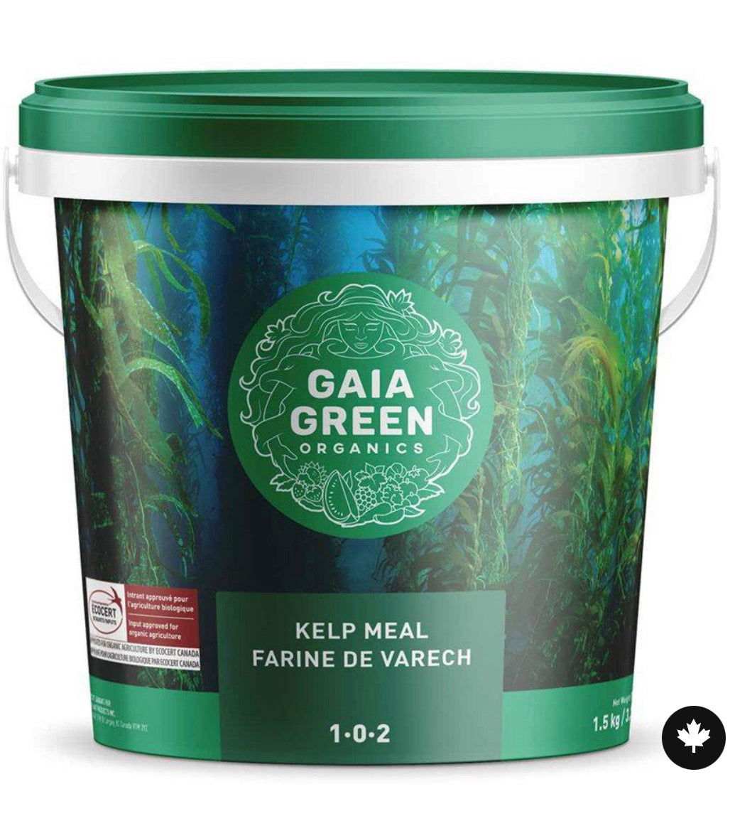 Gaia Green Organic Kelp Meal - 2 Kg