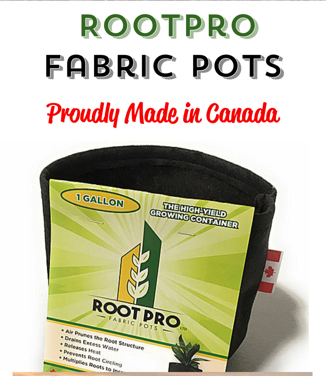 Root Pro 75 gallon Fabric Pot